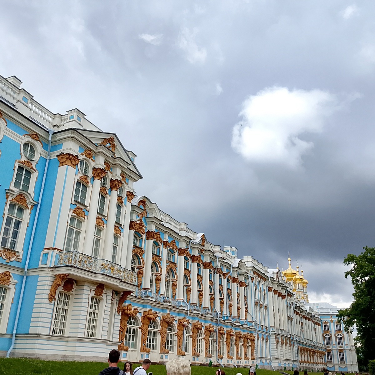 Надежда Плавская