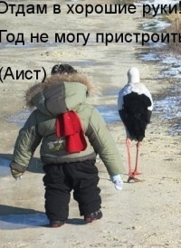Галина Морева