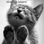 Аватар Женя