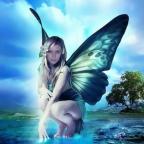 Аватар Butterfly 