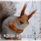 Аватар @vredina@