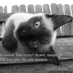 Аватар Карапуля