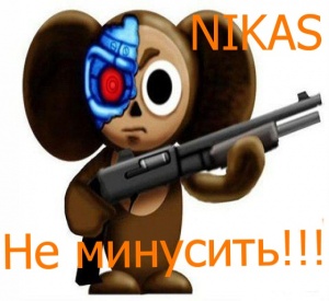 Аватар Nikas