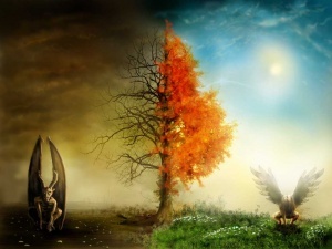 дамир