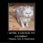 Аватар Безумная Ассоль