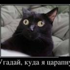 Аватар kicylja26