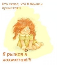 121285-1363376289.jpg