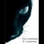 Аватар free cat