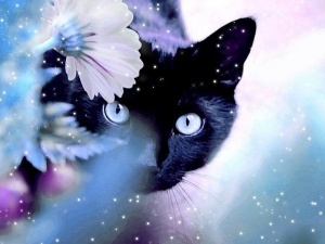 *** ℒℴѵℯ ***