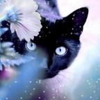 Аватар *** ℒℴѵℯ ***
