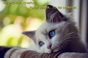 Кетря