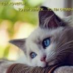 Аватар Кетря