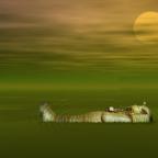 Аватар ***<<RAMZES>>***