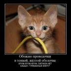 Аватар bifuqa