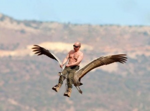 Аватар hi4neg