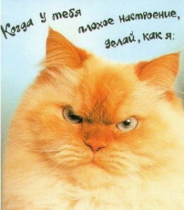 Хмурый