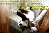 Лариса Картович