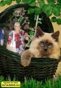 Любовь Дражнюк 