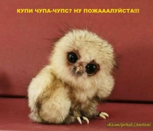НеПодарок