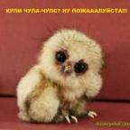 Аватар НеПодарок