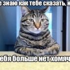 Аватар natarelli