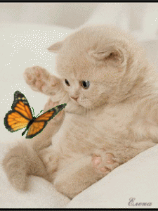 16366-1299849817.gif