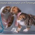 Аватар Lorikmiau