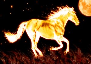 FireHorse