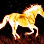 Аватар FireHorse