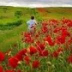 Аватар А Л И С А (((((