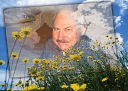 Аватар марк меламед