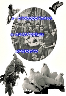Ваш друг