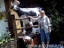 Инна Петренко0