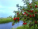 Виталий и Лилия Рогожины