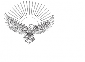 226065-1460552614.png