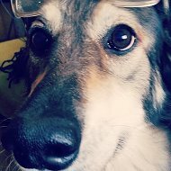 Аркадий Растов