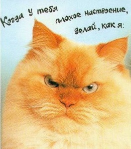 Аватар sereg&#039;ka