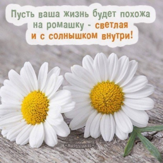 Ольга Тимофеева 3