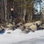 364294-5107.jpg