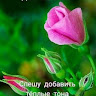 Наталья 33