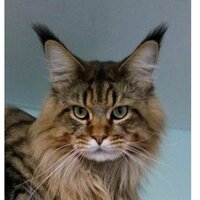 Аватар Кристина Фёдорова 2