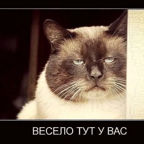 Папаша