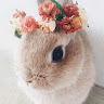 А Солнечная