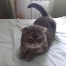 Аватар Маша Морозова