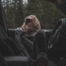 Аватар shane erdman