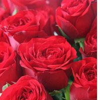 Аватар Валерия Соловьева