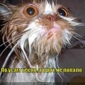 Аватар Chundrochka