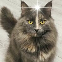 Аватар Владимир Михайлов 7