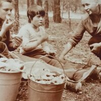 Ирина Ваульчикова
