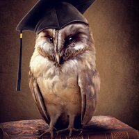 Аватар Владислав Светов